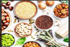 Plant-Based Protein Sources for Vegetarians and Vegans